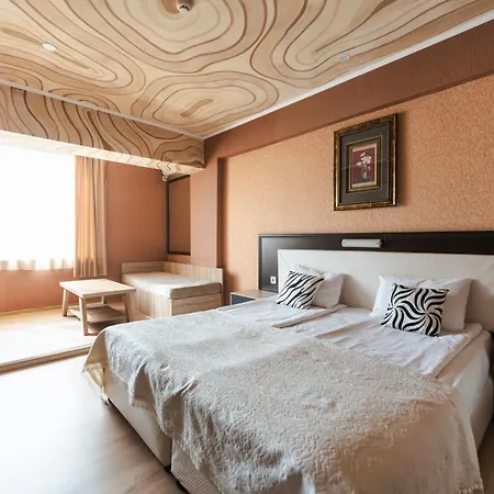 Hotel Rila *